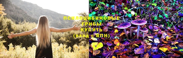 мескалин Балахна