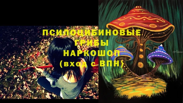 мескалин Балахна